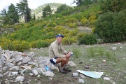  pause figolus au col